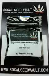 High School Sweetheart Breath F2 x 9lb Hammer strain photo