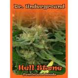 Hell Stone strain photo