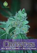 Alphakronik Genes - Cronuts strain photo