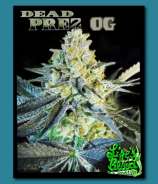 Dead Prez OG strain photo