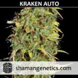 Kraken Auto strain photo