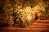 Blond HAS.OG #3 strain photo