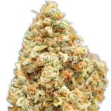 Monster Profit strain photo