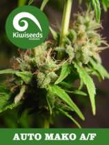 Auto Mako strain photo