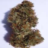 Zamal Hash strain photo