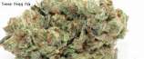 Snoop Dogg OG strain photo