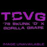 '78 Skunk 'D' x Gorilla Grape strain photo